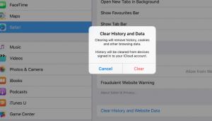 Datos de iPad Safari